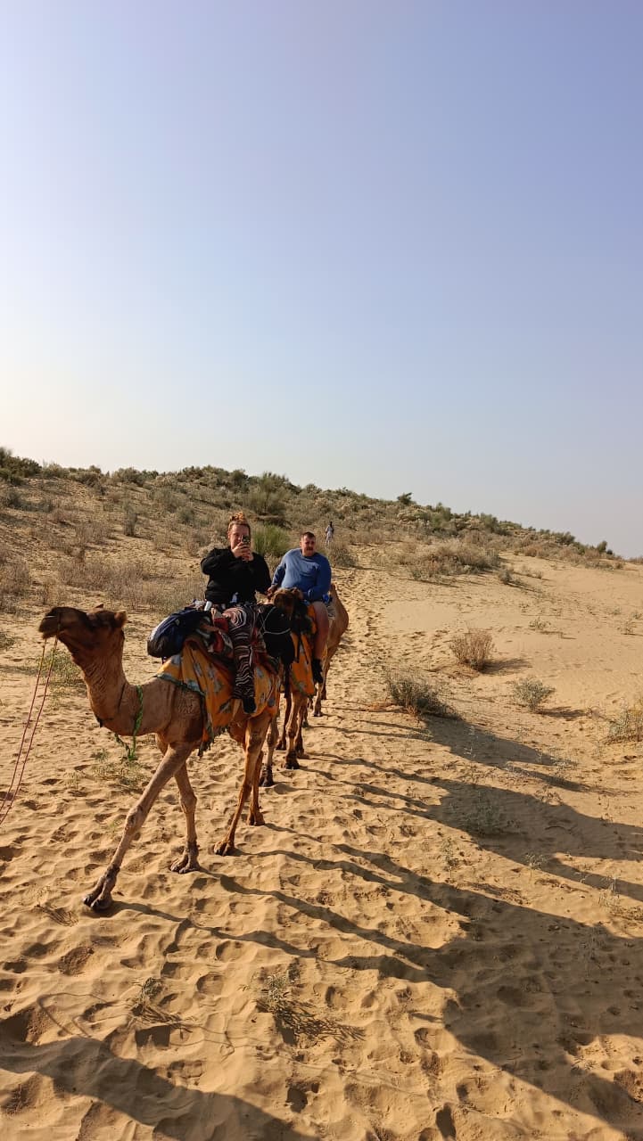 A group riding camels