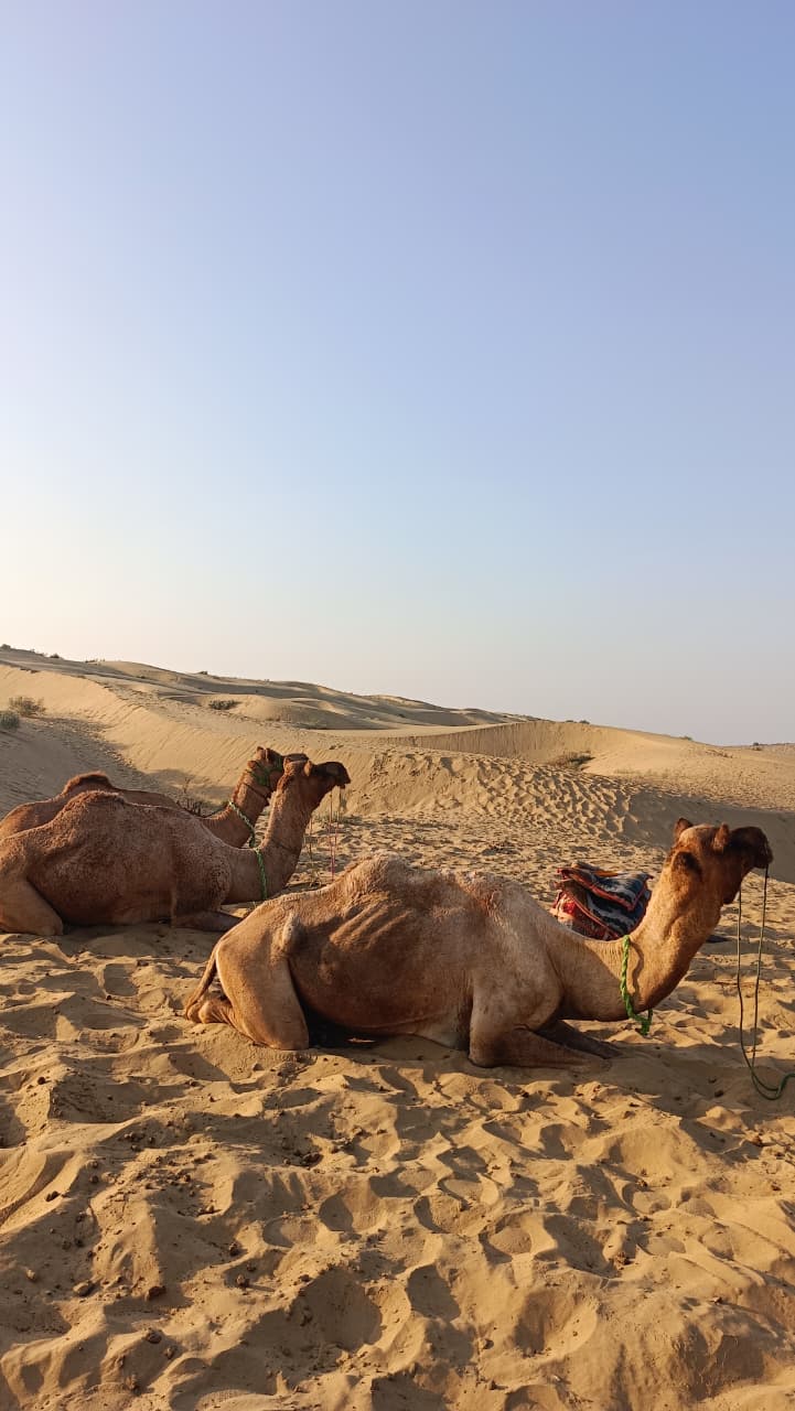 Jaisalmer Fort